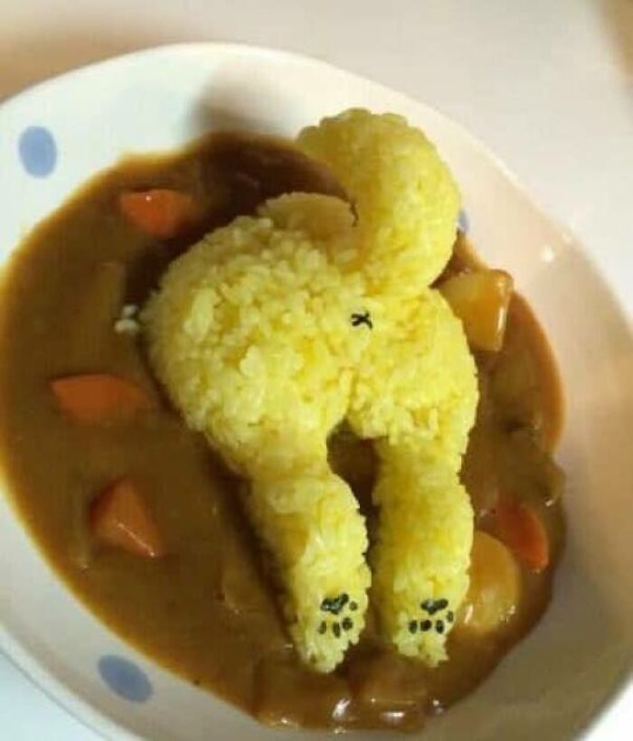 Curry con forma de trasero de perro shiba