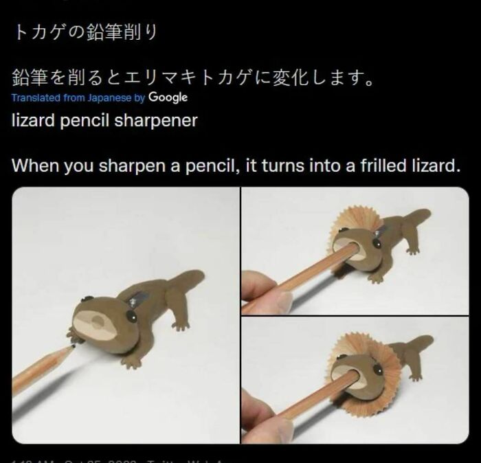 When You Sharpen A Pencil, It Turns Into A Frilled Lizard
