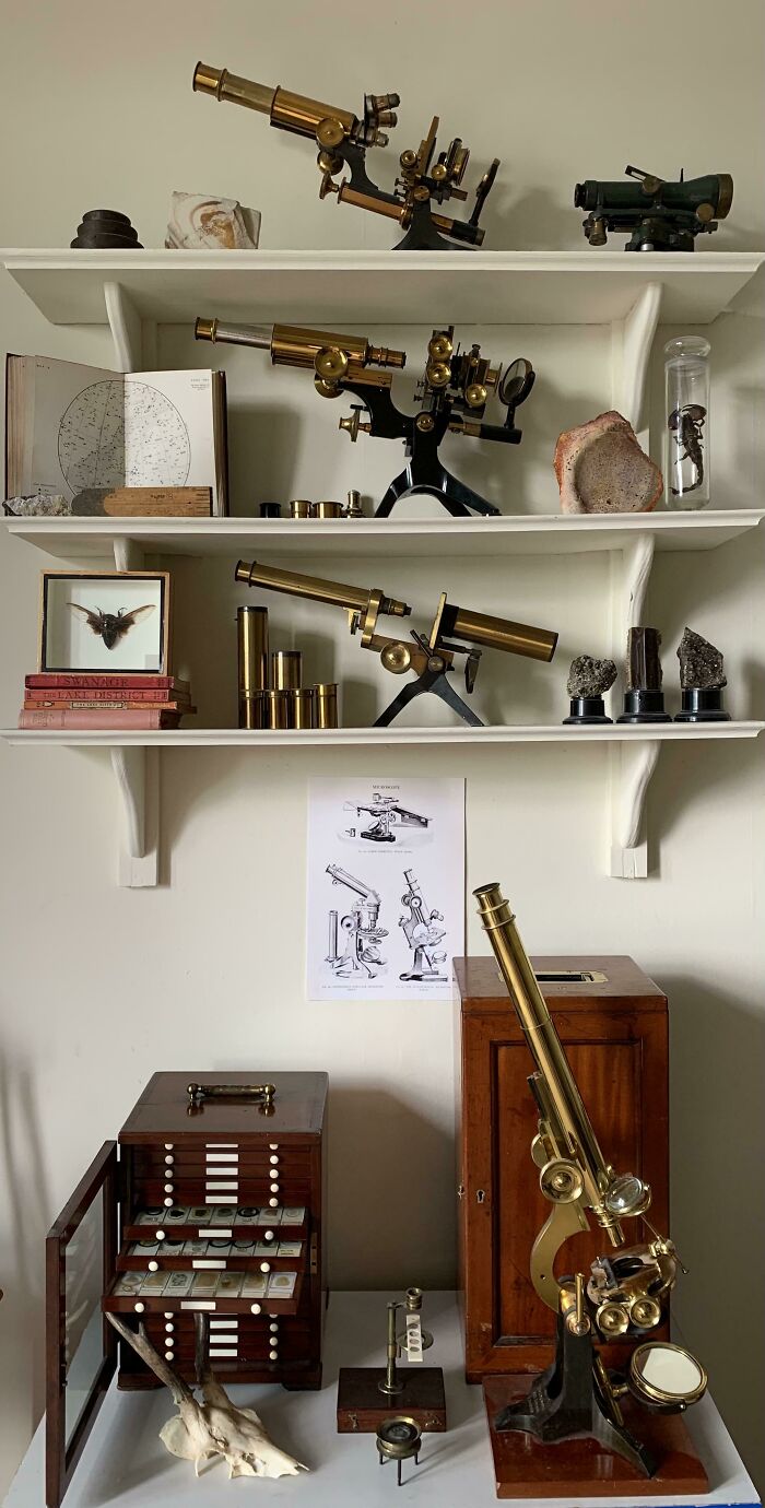 Part Of My Antique Microscope Collection - I Could Do With More Display Room (Couldn’t We All??)