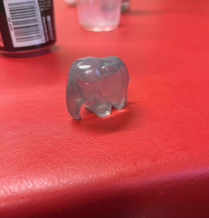 Small Elephant Filled With Water Left At Flat After Party. Debating With Flatmates Over What It’s Purpose Could Be