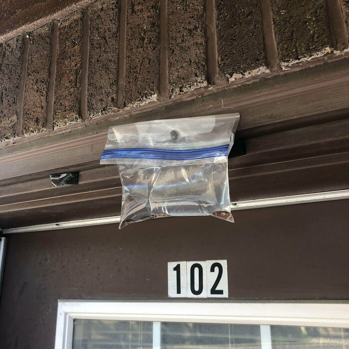 Seen While Walking Down The Street. A Ziplock Bag Tacked Above A Door. Seems To Contain Water And A Few Pennies. What Could This Be For?