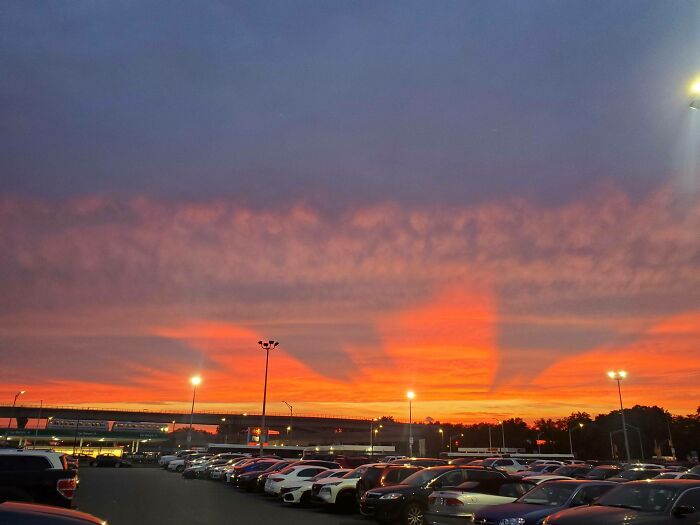 Tomé una foto de una puesta de sol en el aeropuerto JFK. ¿Puede que estas sombras sean el horizonte de Manhattan?