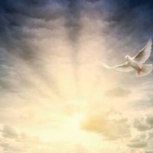 purr_maid_icorn avatar