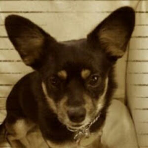 michaellaplaca avatar