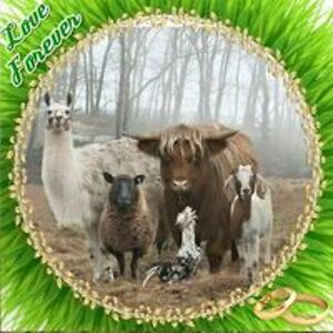 michelebutler28 avatar