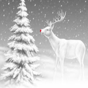 phoenixmiller avatar