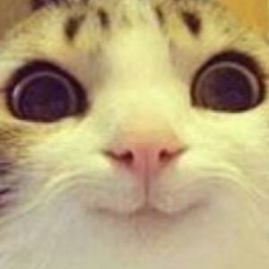 zeddicusauger avatar