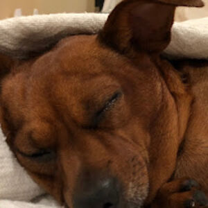 michaelkonopka avatar