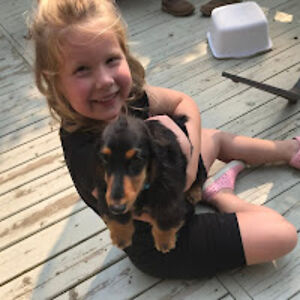 brynnrobinson avatar