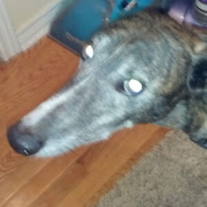 dougthompson_1 avatar