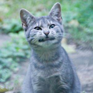 jamiyakennedy-phillips avatar