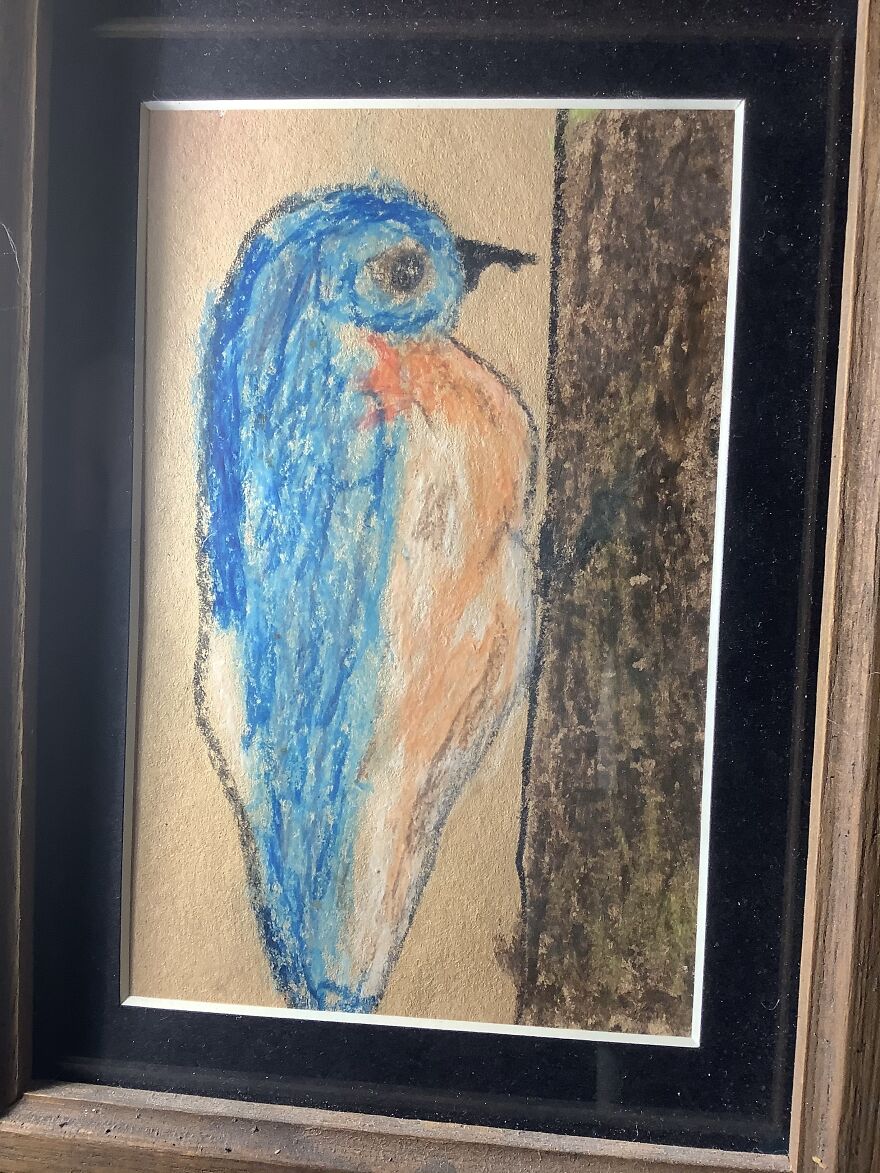 Cheap Pastel Bluebird (Age 7)