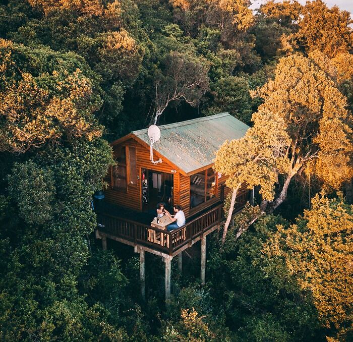 Spend The Night In A Treehouse In South Africa