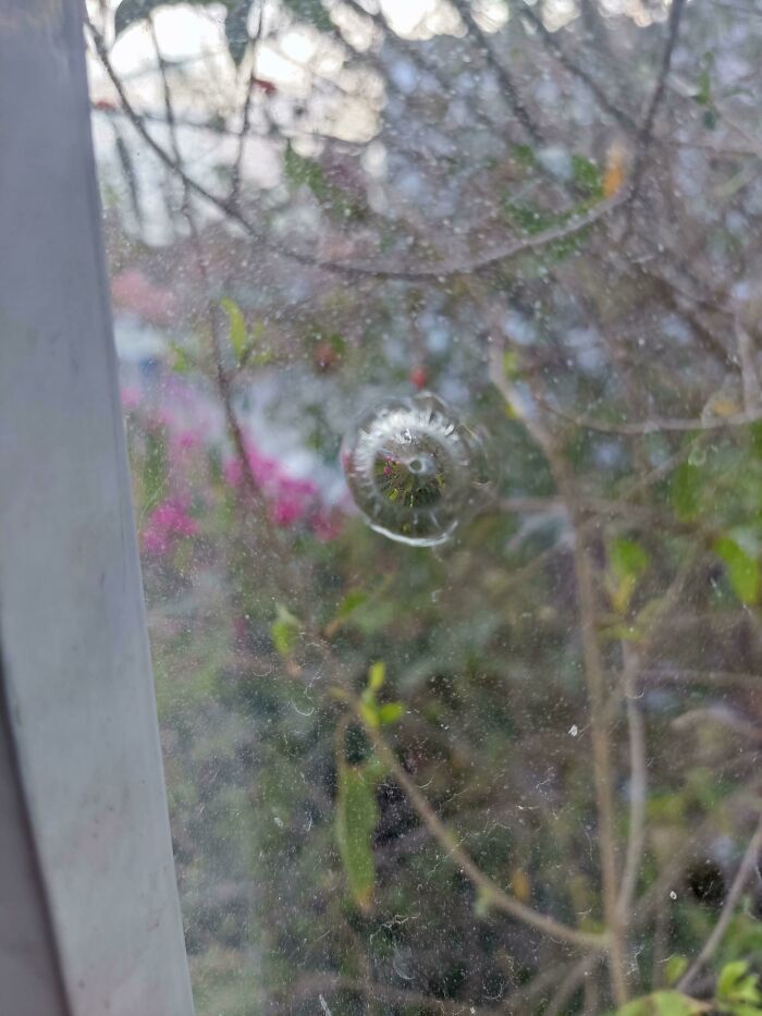 Apareció este pequeño agujero en la ventana del dormitorio de mis padres