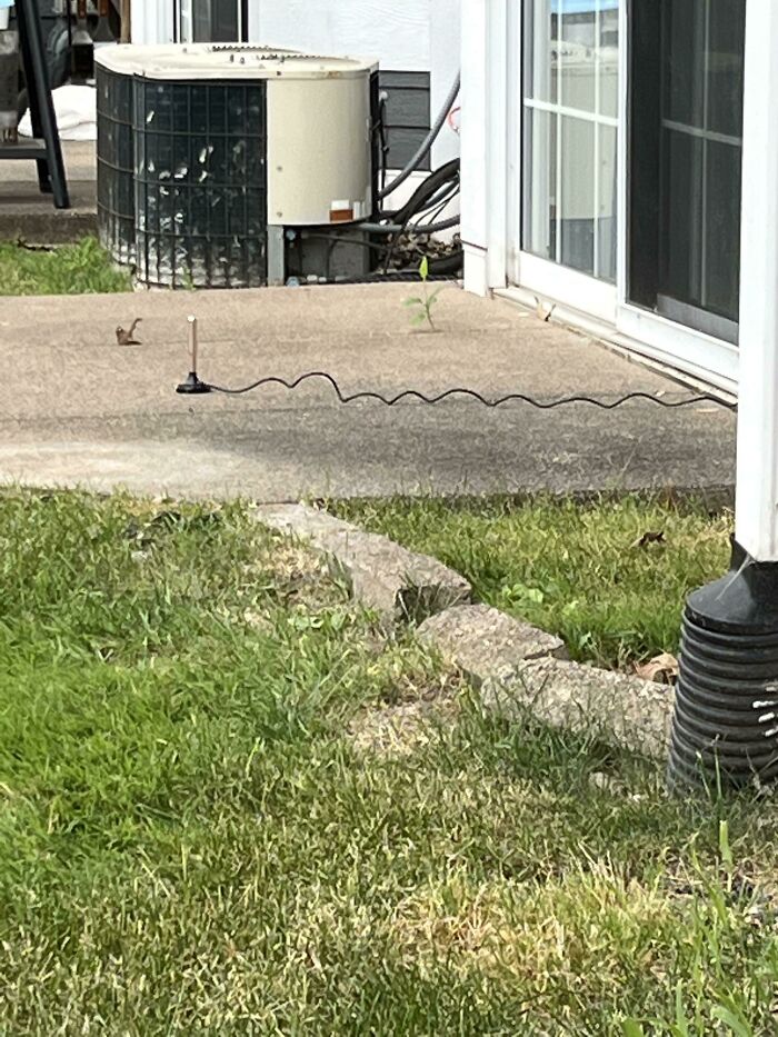 My New Neighbors Just Put This Out On Their Back Patio, The Coaxial Connect For The House Is Right Inside The Door. I Am Guessing This Is Some Kind Of WiFi Extender?