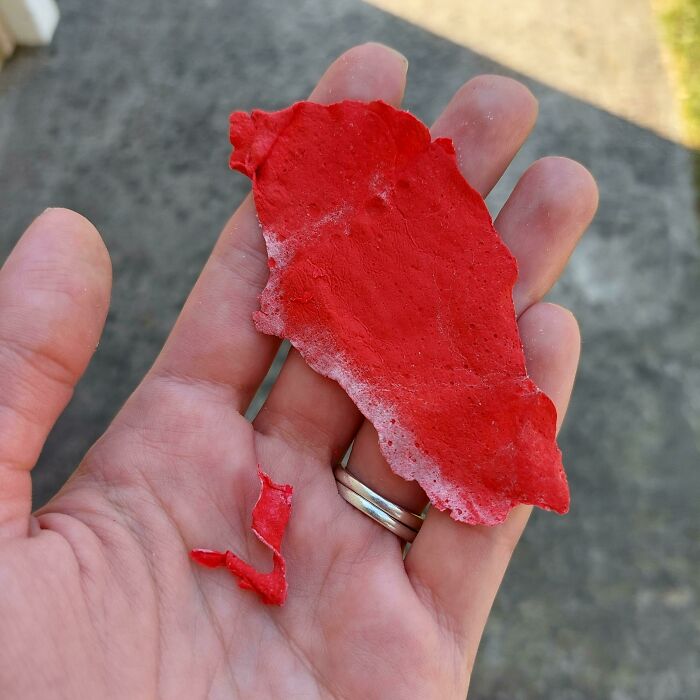These Two Things Floated To The Ground Just After A Large Plane Passed Low Over My House. They're Gritty And Rubbery, Almost Like Dried Paint. They Also Have A Strong Overly Sweet Smell