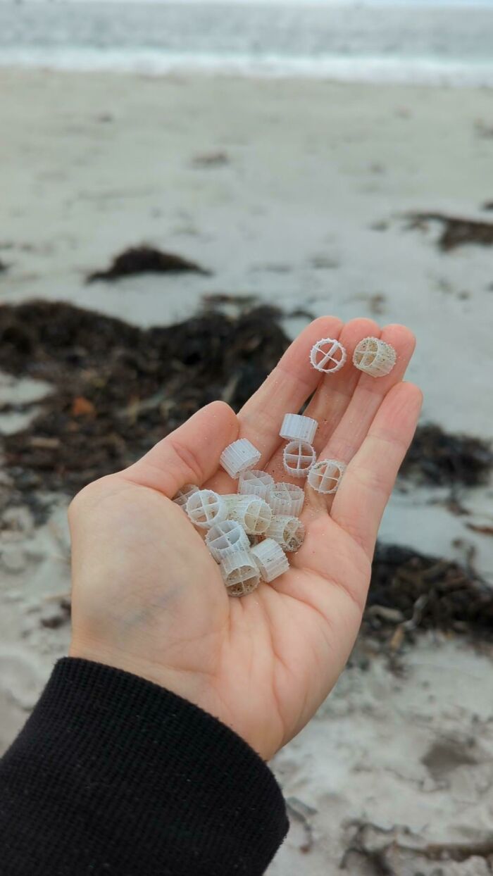 My Friend Has Found A Bunch Of These Weird Little Plastic Things While Cleaning Up The Beaches In Maine. We Have No Clue What They Are And We Aren’t Having Much Luck With Google, Does Anyone Know?