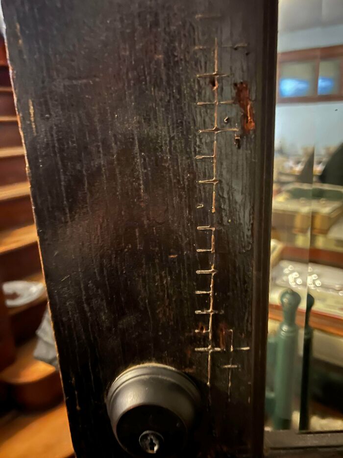 I Just Noticed Some Very Fresh Feeling Marks On My Front Door… I Moved In A Month Ago And I’m 90% Certain They’re New Since Then