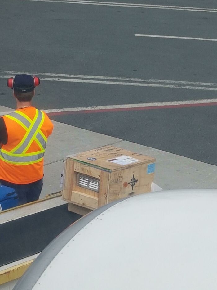 Box With Vent, And Crosshair Symbol Stamped On Side. One Of Two Similar Boxes Offloaded With Luggage On Plane. Didn't Look To Be Particularly Heavy When Lifted By Aeroport Employees