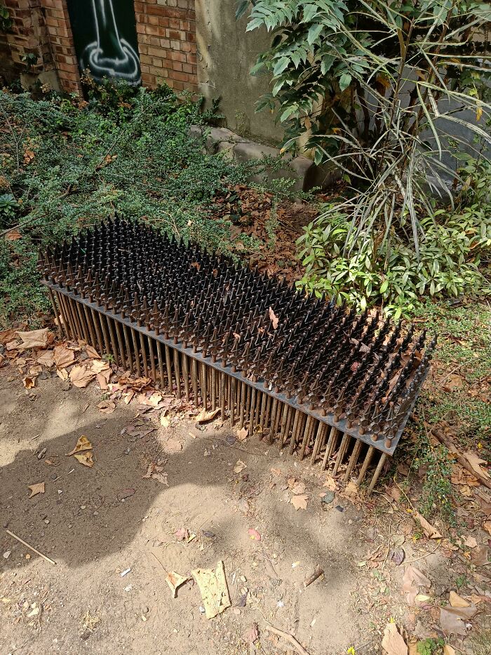 Grill Of Rounded Spikes In A Very Small London Park