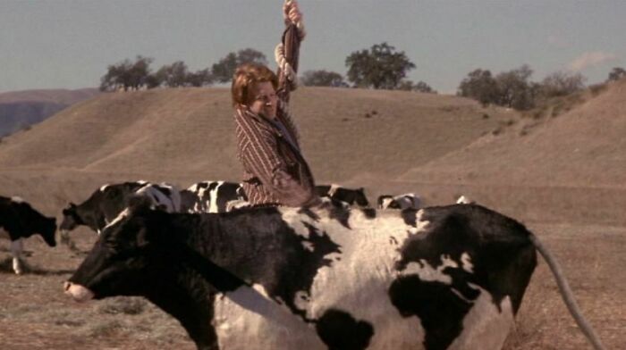 En la película El mundo está loco, loco (2001), la primera vaca que Seth Green golpeó mientras colgaba de un globo aerostático tenía un mapamundi en sus manchas