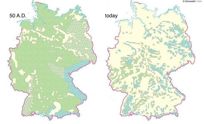 Forests In Germany, 50 A.d. vs. Today