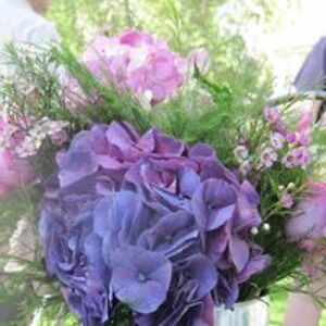 kathykaminski avatar