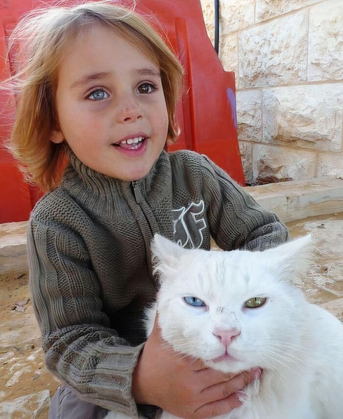 ¡Tanto este niño israelí como su gato tienen heterocromía!
