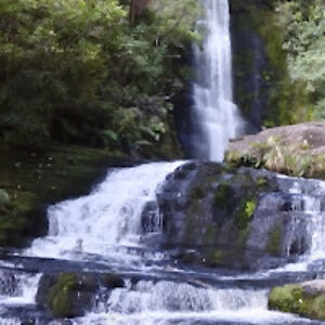 rosaleekasosera avatar