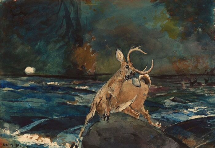 A Good Shot (1892) By Winslow Homer