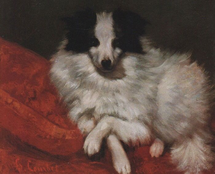 Sitting Dog On Pillow (1855) By Gustave Courbet