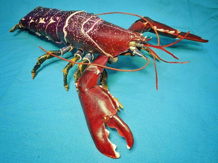 Lobster, Recreated In Cowhide
