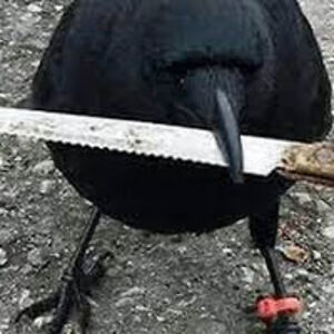 hubertberntsson avatar