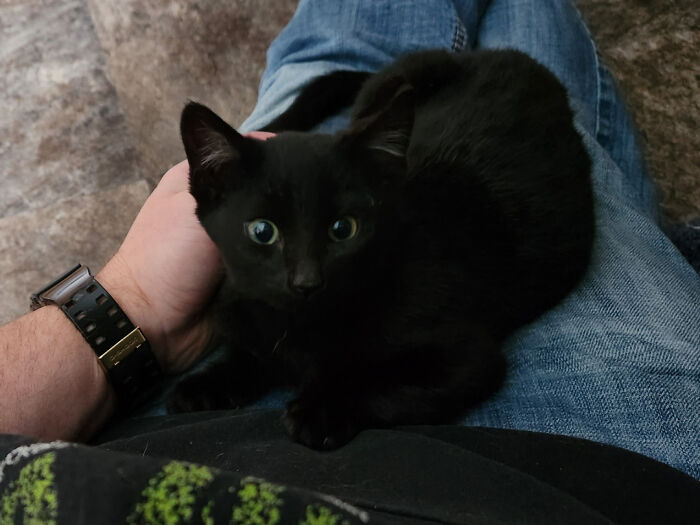 Cute Little Void That My Wife Rescued
