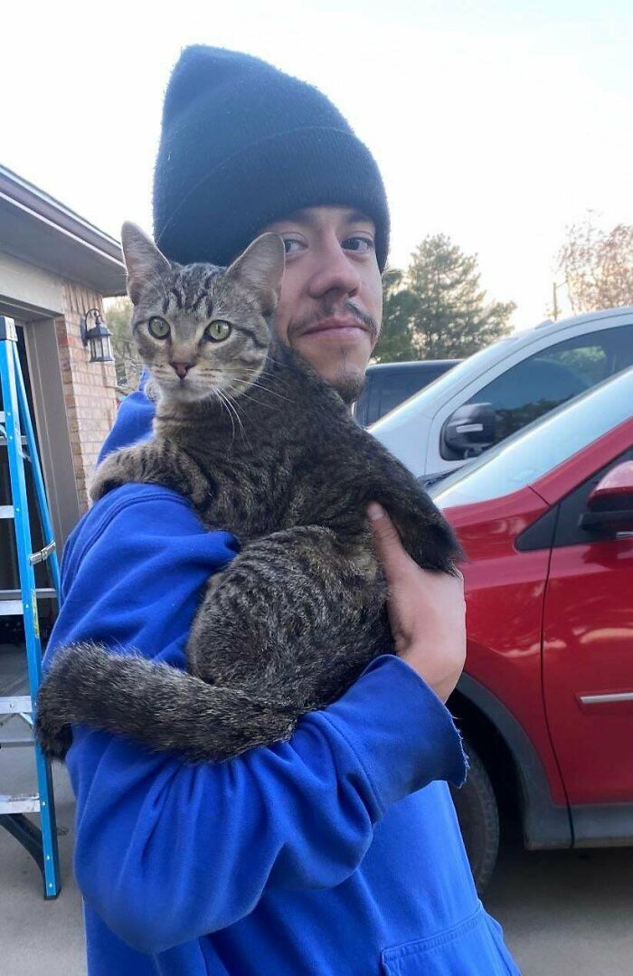 Rescued This Cat From The Cold And It Looks Like He Has Claimed Me As His Owner