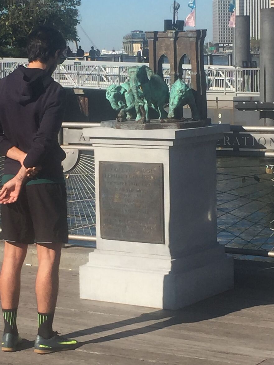 A Monument To The Brooklyn Bridge Elephant Stampede Of 1929 A Monument To The Brooklyn Bridge Elephant Stampede Of 1929