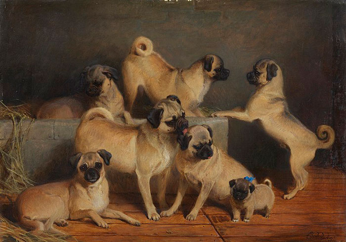 A Family Of Pugs (1877) By Charles Burton Barber