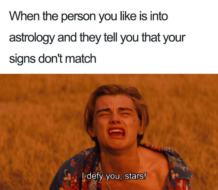 When the person you like tells you that your signs don't match Leonardo DiCaprio meme