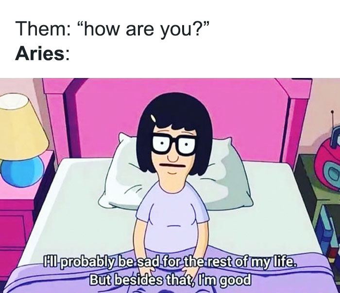 Aries sad the rest of their lives meme