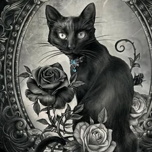 colleenhennessy avatar