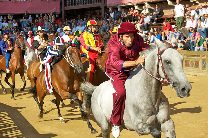 Attend The Palio Horse Race In Siena