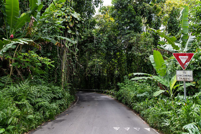Drive Maui’s Road To Hana