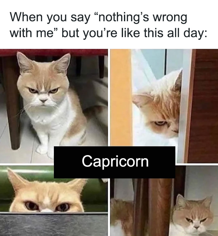 Capricorns saying nothing's wrong but then being angry all day meme