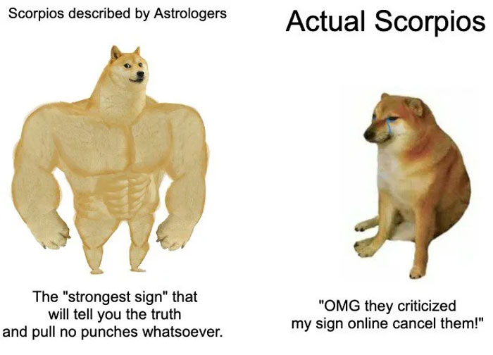 Scorpios described by astrologers vs. actual Scorpios meme