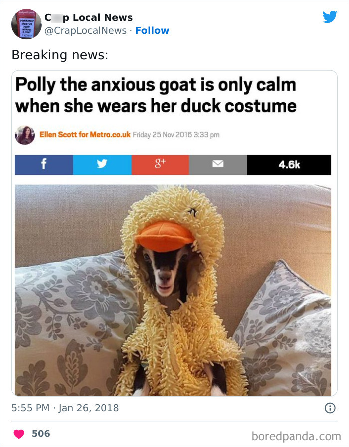 50 Of The Most Unhinged Local News Headlines That Got Celebrated On This  Twitter Page | Bored Panda
