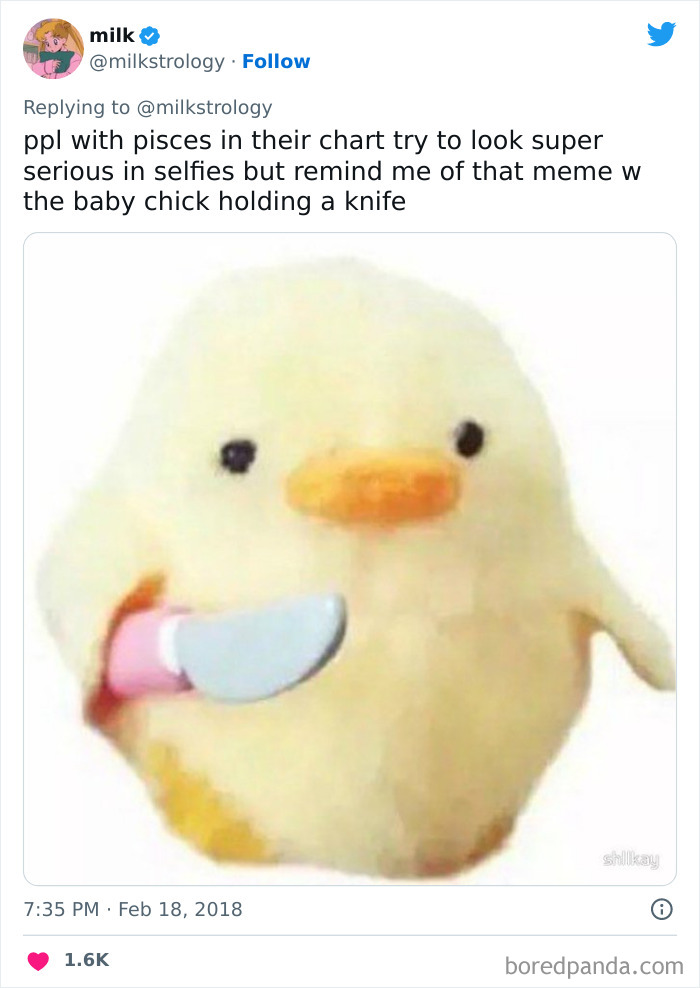 Baby chick holding a knife Pisces meme