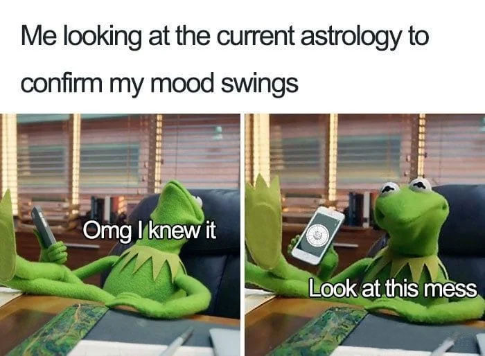 Me looking at the current astrology to confirm my mood swings Kermit the Frog meme