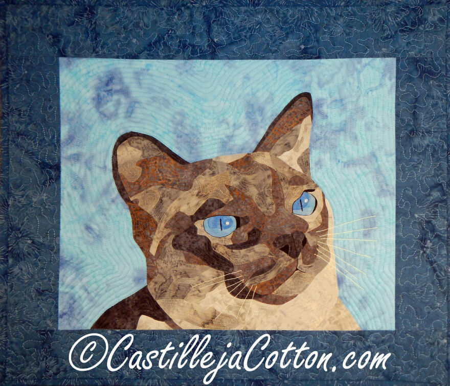 Jake The Cat By Castilleja Cotton (Canada)