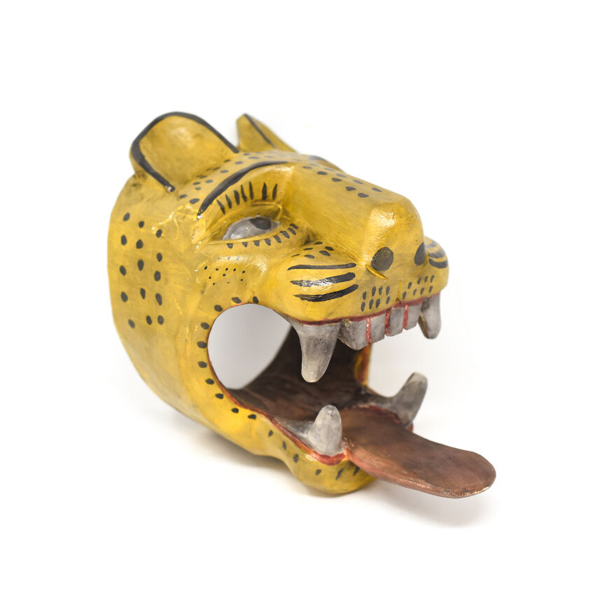 Guatemalan Leopard Mask From Its Cactus (USA)