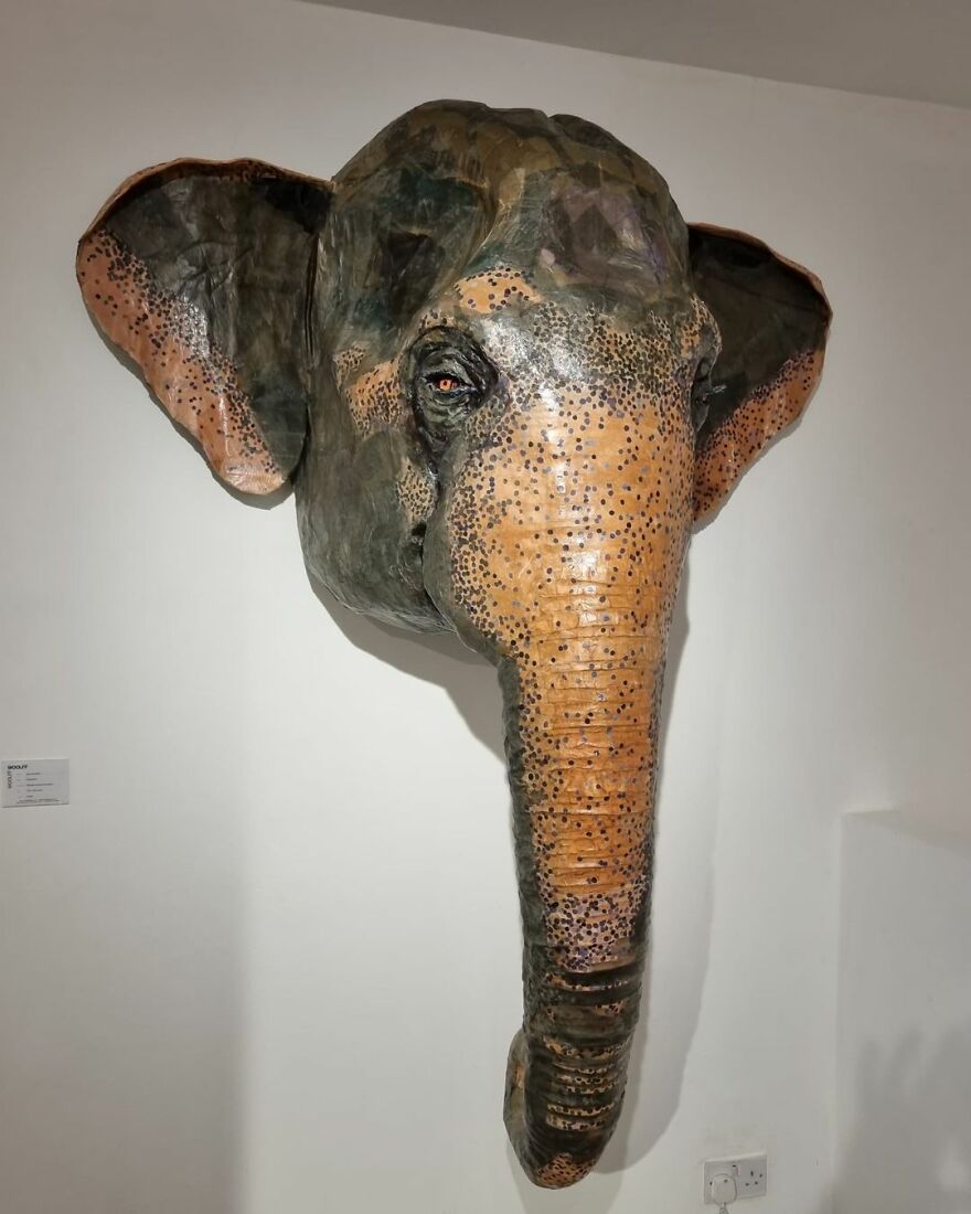 Artist Turns Cardboard And Other Discarded Materials Into Stunning Lifelike Animal Sculptures